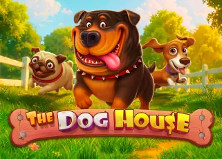 ดราก้อนเกมมิ่ง The Dog House ทดลองเล่นฟรี